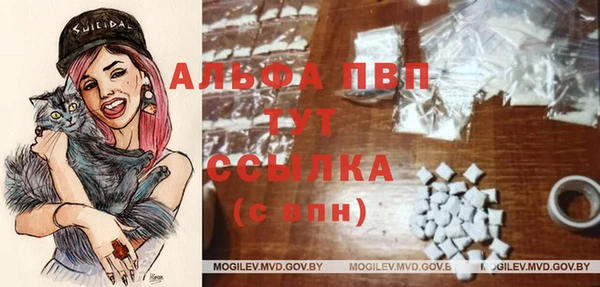 jwh Сосновоборск