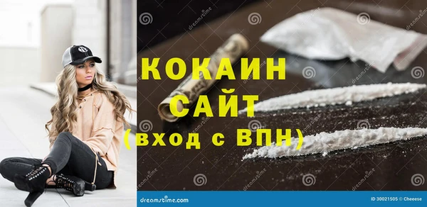 дживик Арсеньев