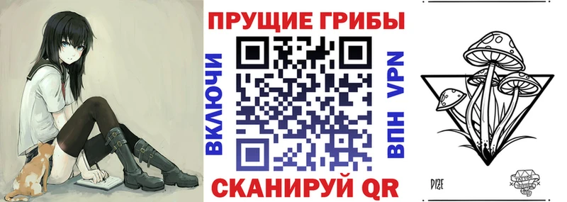 Псилоцибиновые грибы GOLDEN TEACHER  shop телеграм  Киреевск  hydra ссылки 
