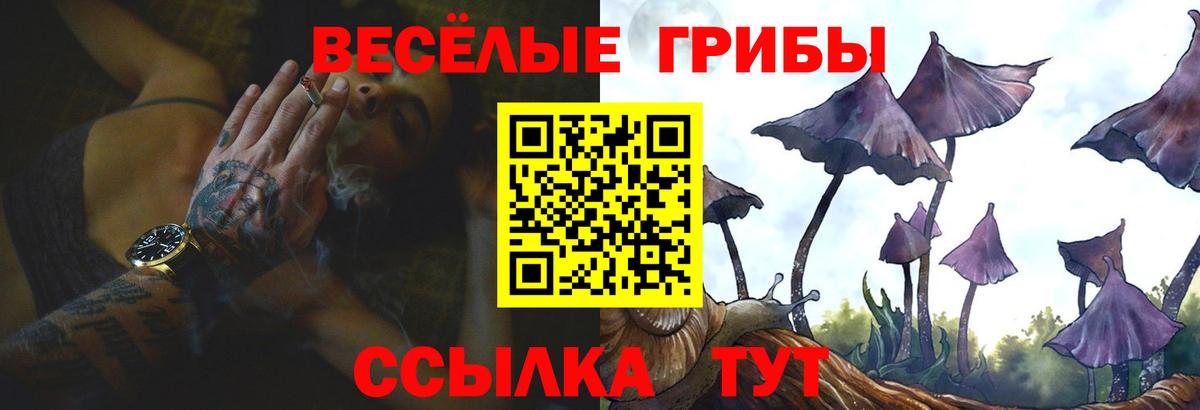 Галлюциногенные грибы Psilocybe  Галлюциногенные грибы ЛСД  Вход с VPN  Киреевск 